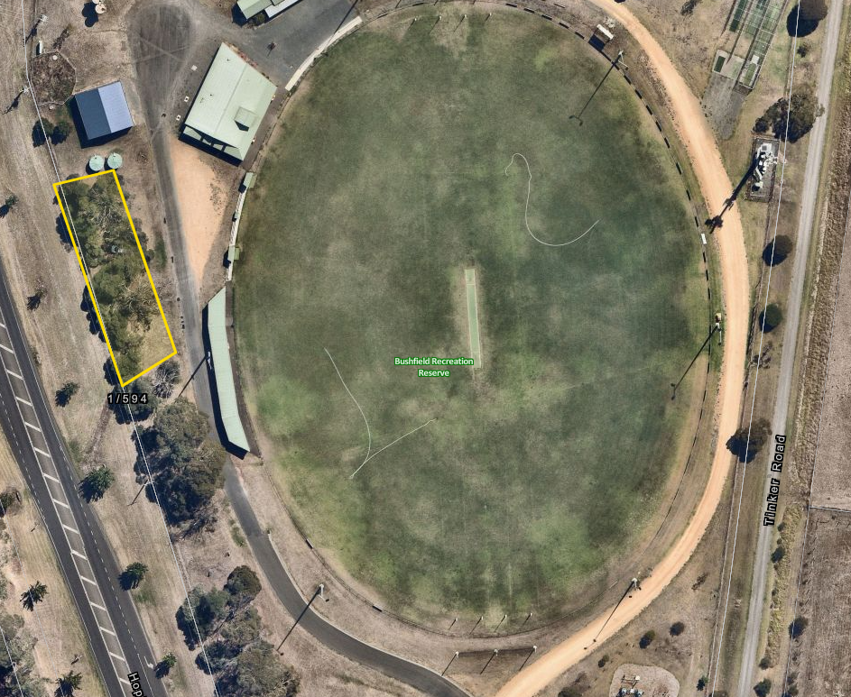 Site where trees will be removed.