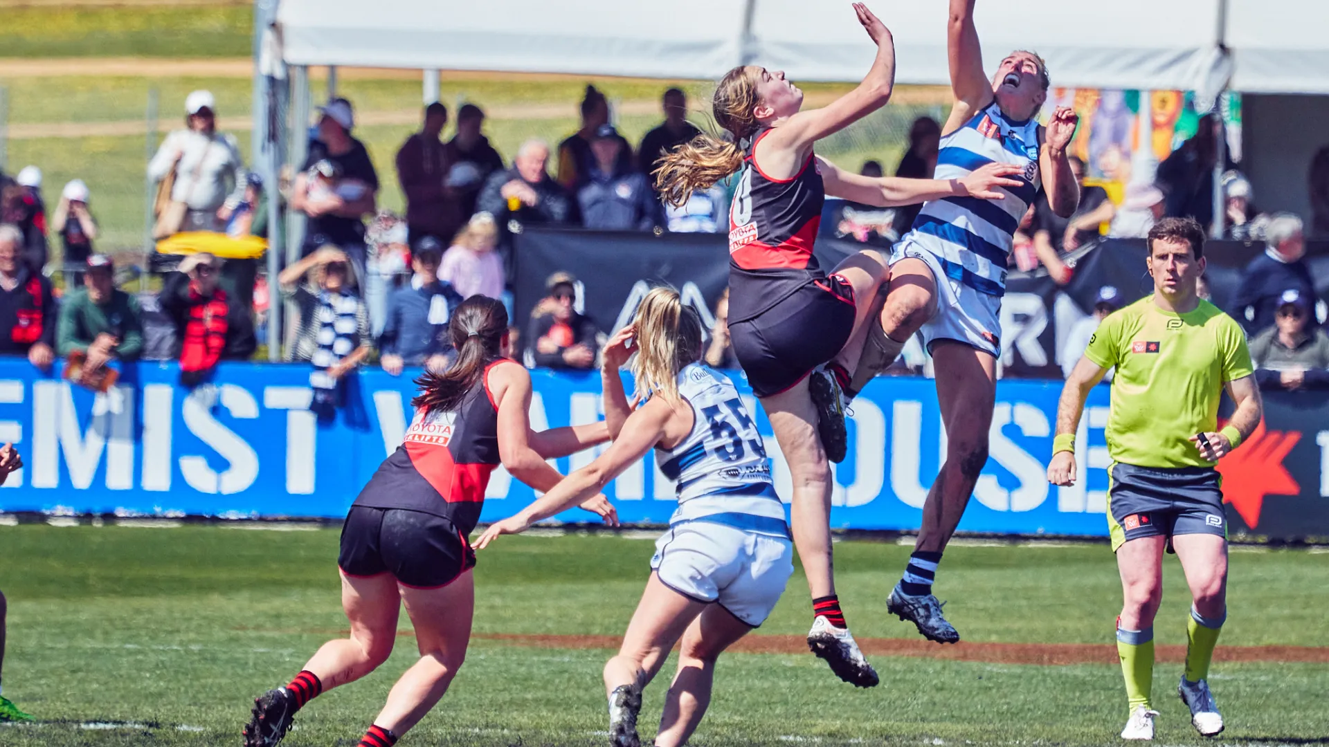 AFLW at Reid Oval