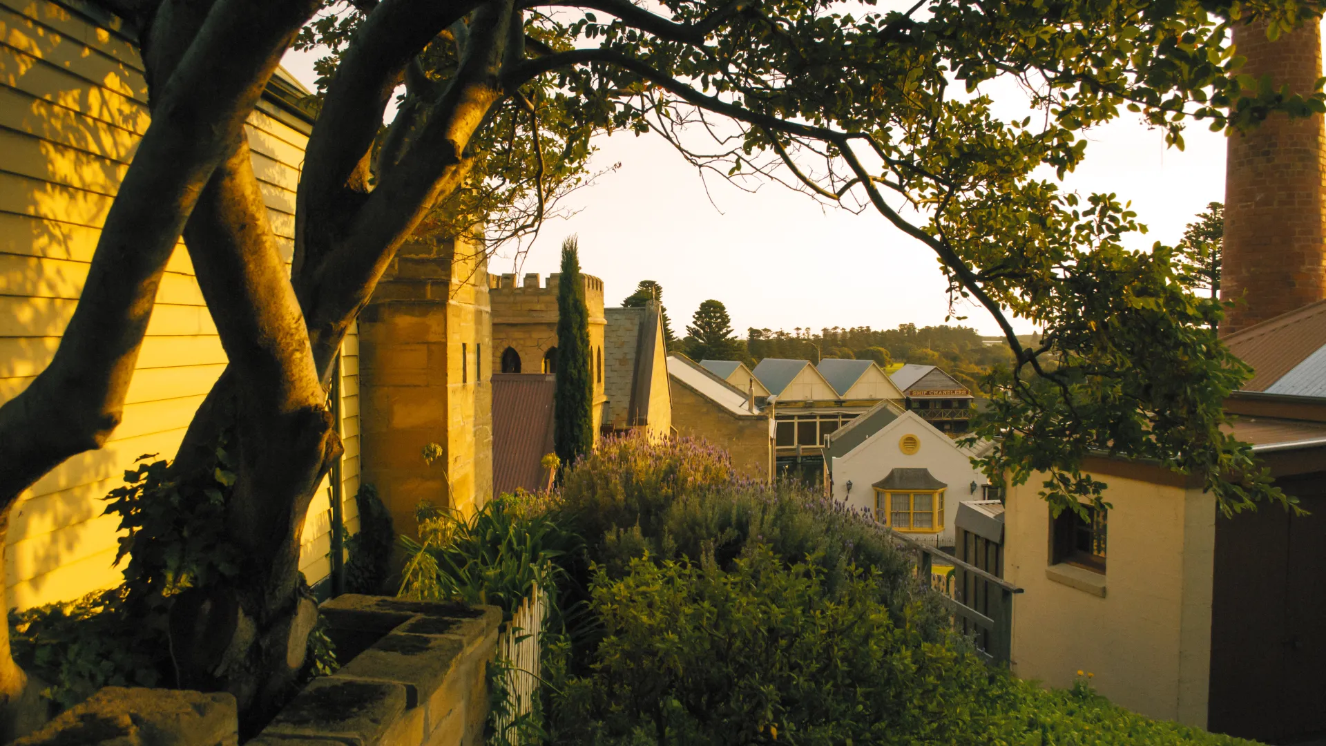 Flagstaff Hill scene late autumn.