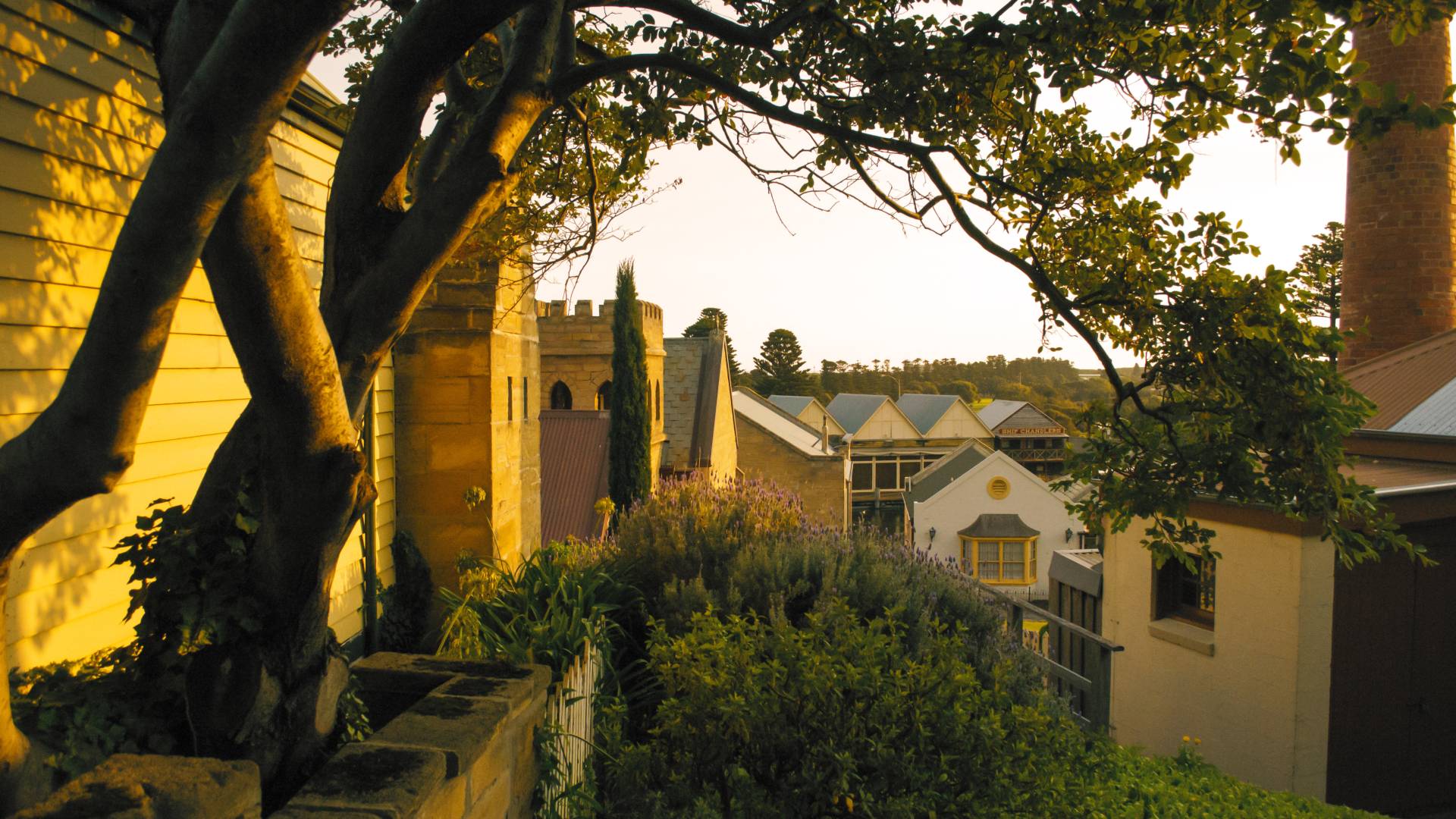 Flagstaff Hill scene late autumn.