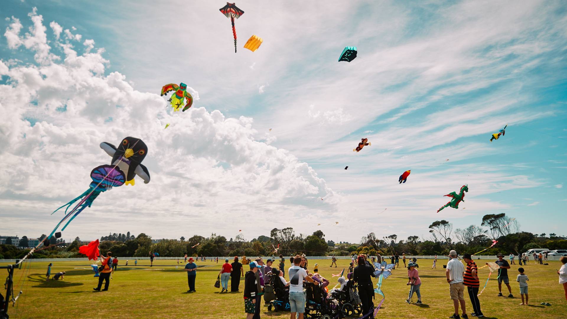 Giant Kites