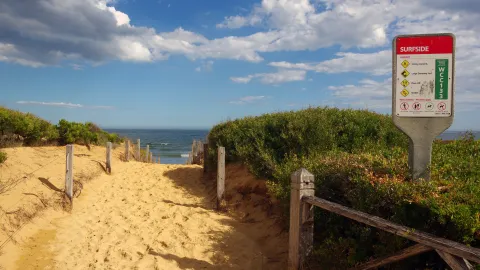 Beach Access WCC133