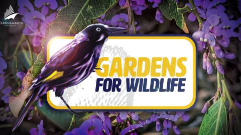 Gardens for Wildlife