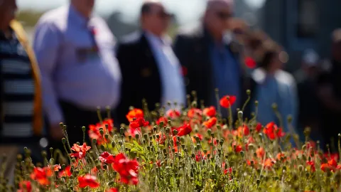 Remembrance Day