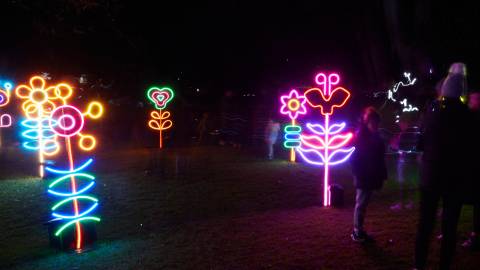 Solstice Search Party