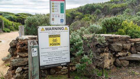 Fox baiting warning sign