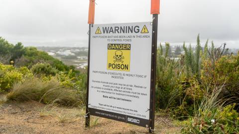 Fox baiting warning sign