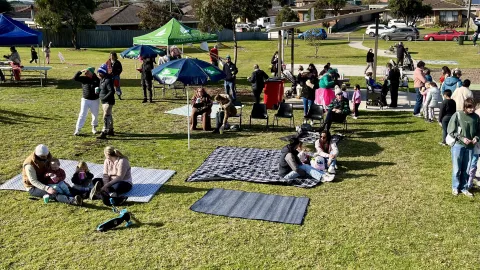 Picnic in the Park