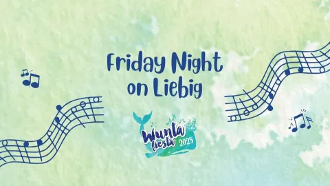 Wunta Fiesta