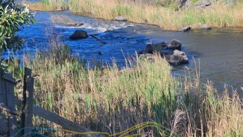 creek
