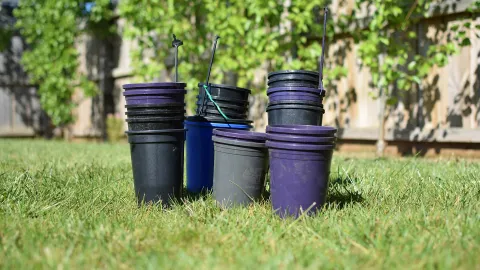 Empty Pots