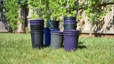 Empty Pots