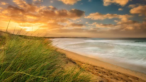 Beach sky