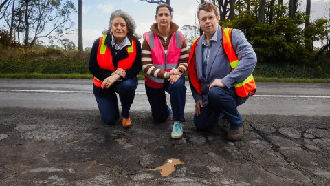 South West councillors along a shabby stretch of road.