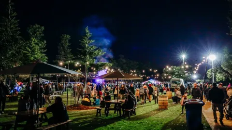 crowd at night