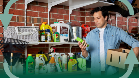 Detox Your Home