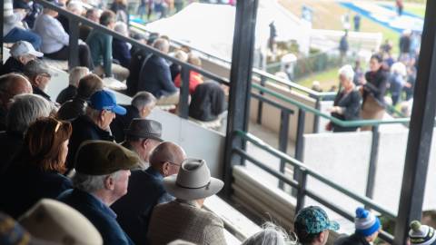 Scene from the May Racing Carnival