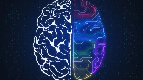 AI image showing human and AI brain hemispheres.