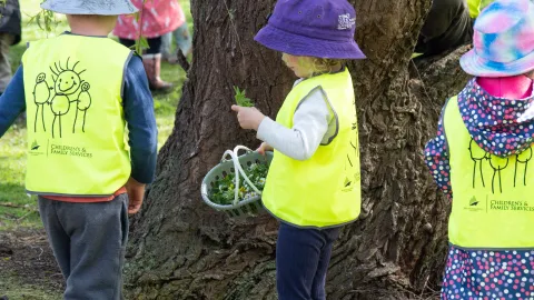 Kindergartens
