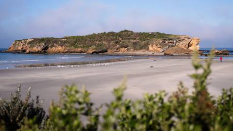 Middle Island