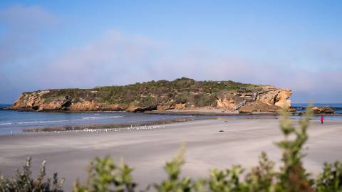 Middle Island