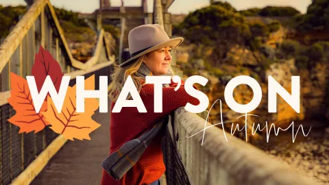 What's on in Autumn