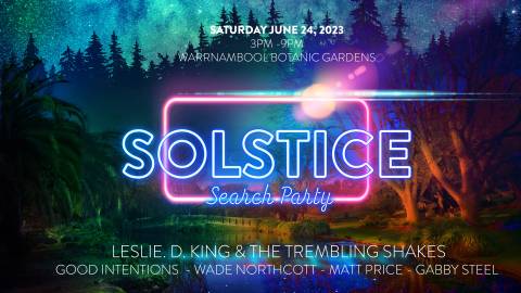 Solstice Search Party