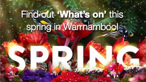 What's on in Spring