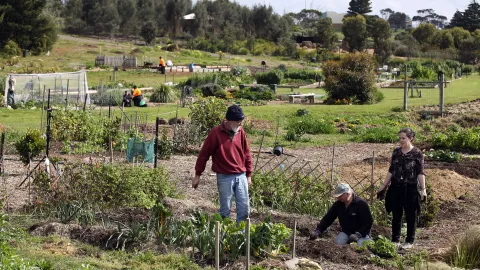 Warrnambool Community Garden
