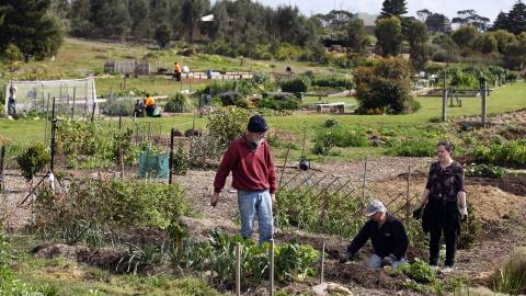 Warrnambool Community Garden